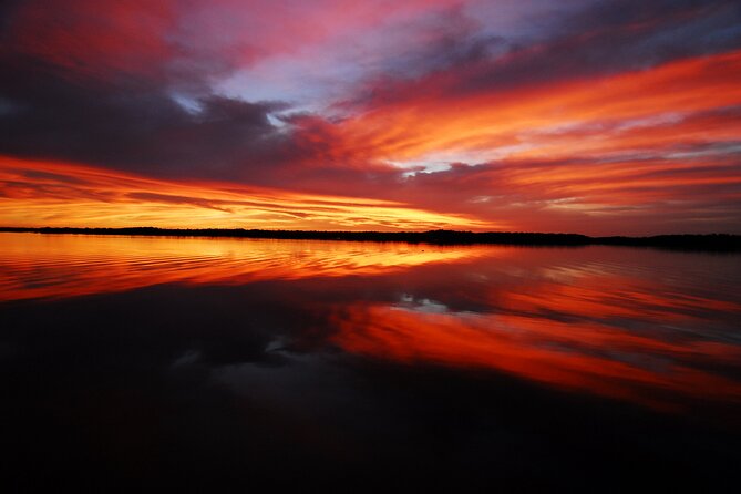 Private Everglades 10,000 Islands Photo and Birding Boat Safari - Private by Design: How Your Guide Sets Up the Best Shots