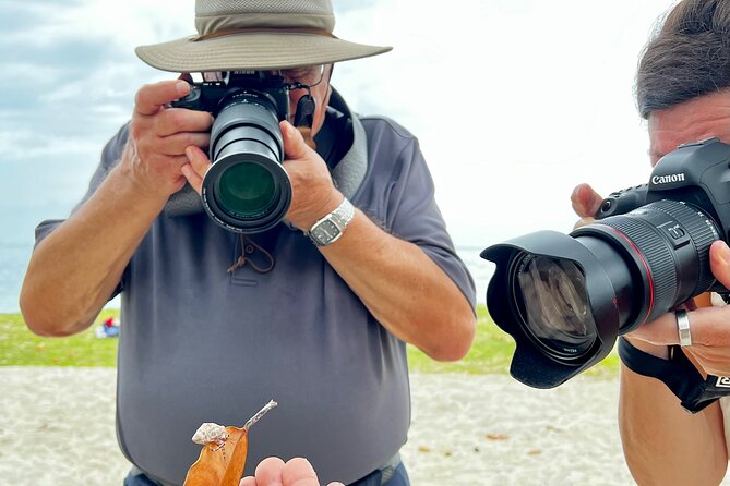 Private excursion to Moorea, photo tour & immersive discovery - 4x4 Pickup and a Route Built for Viewpoints (Not Just Driving)