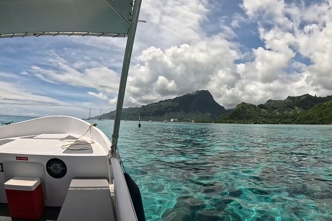 Private excursion to Moorea, photo tour & immersive discovery - Price and Value: $473.71 for Up to 8