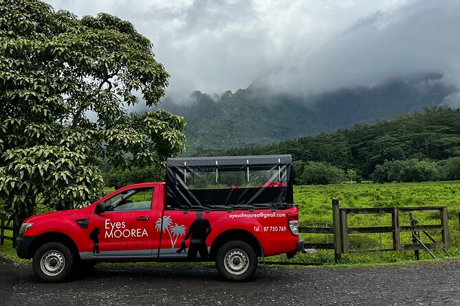 Private excursion to Moorea, photo tour & immersive discovery - Weather, Timing, and the Calm Reality of a 4-Hour Island Loop