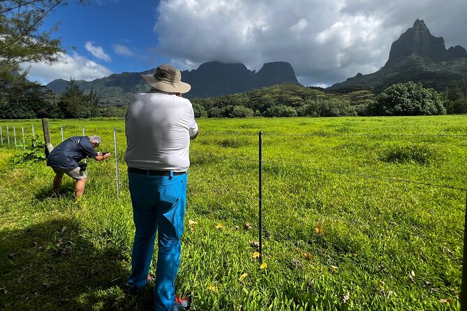 Private excursion to Moorea, photo tour & immersive discovery - Who Should Book This Moorea Photo Tour (and Who Might Not)