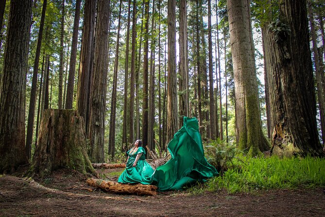 Private Flying Dress Photography Experience with Rental Included - Weather rules, kids/pets, and the reality of outdoor photos