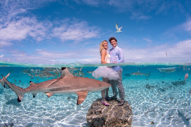 Private Full Day Aquatic Photo Tour + Resort Photo-Shoot (All inclusive) - Key things I’d pay attention to
