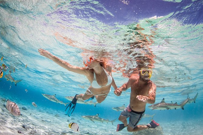 Private Full Day Aquatic Photo Tour + Resort Photo-Shoot (All inclusive) - Who this suits best (and who might reconsider)