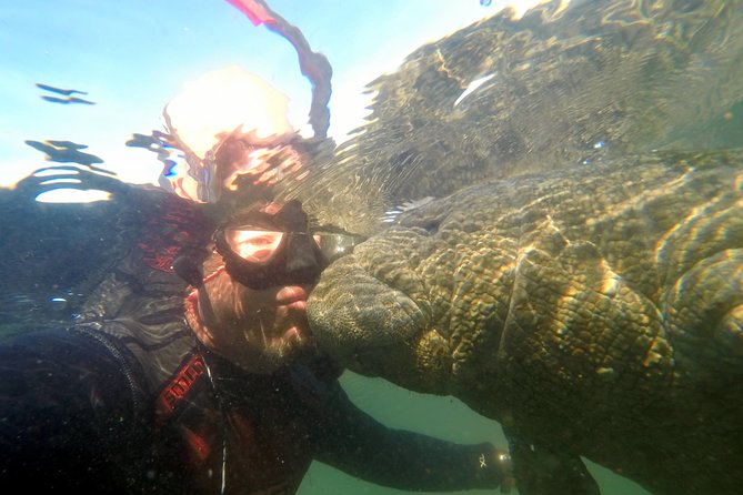 Private Manatee Swim for up to 6 with In-Water Divemaster/Photographer - King’s Bay passive observation: why this manatee swim feels different