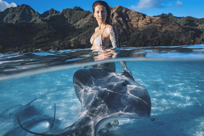 Private Marine Wildlife Adventure with Underwater Photography - Key highlights you’ll feel in the water