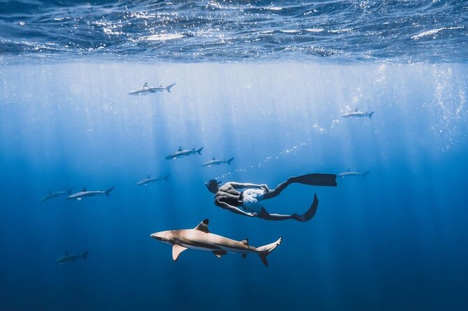 Private Marine Wildlife Adventure with Underwater Photography - Your 3-hour private plan: lagoon, pass, and outer reef