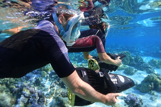 Private Marine Wildlife Adventure with Underwater Photography - Snorkeling gear, transport, and small comfort notes that matter