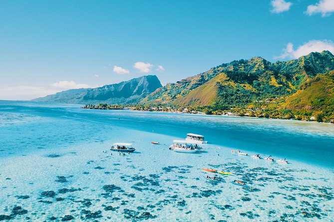 Private Marine Wildlife Adventure with Underwater Photography - Who this tour is for (and who might want to skip it)
