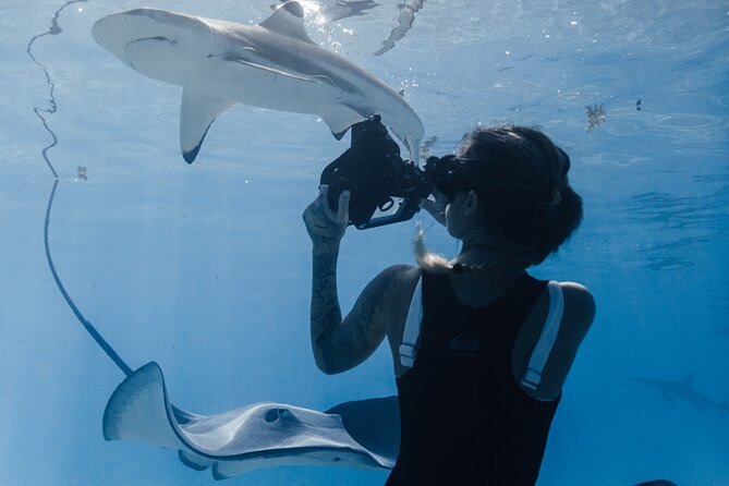 Private Marine Wildlife Adventure with Underwater Photography - Pricing and planning: timing, value, and availability
