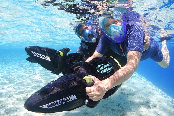 Private Marine Wildlife Adventure with Underwater Photography - Weather and season reality check