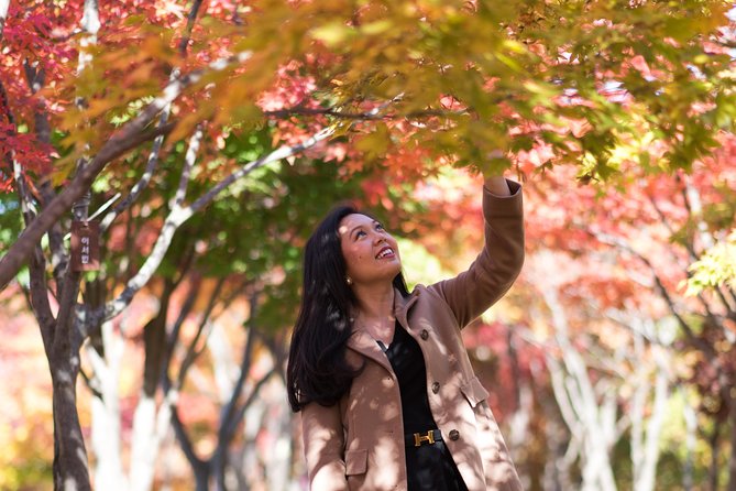 Private Nami Island Photo Shoot and Tour with a Photographer - On Nami Island: Photo Locations, Your Own Pace, and Dakgalbi Lunch