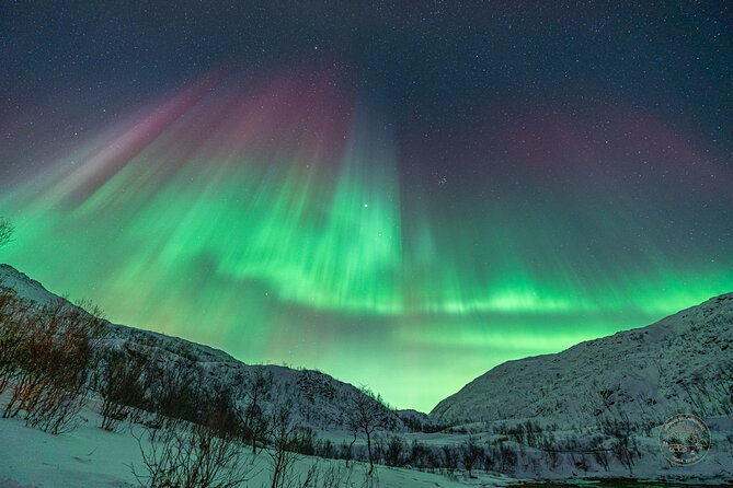 Private Northern Lights Chase with Photography from Tromsø - By the Fire: Warm Gear, Hot Drinks, and Snacking Through the Wait