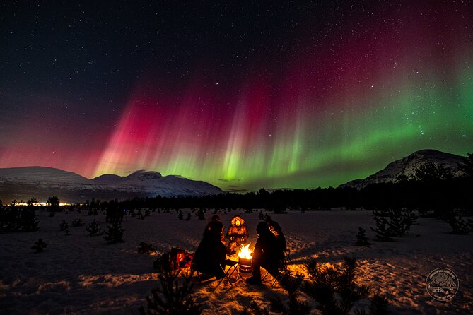 Private Northern Lights Chase with Photography from Tromsø - Northern Lights Photography: Tripods, Camera Settings, and Getting Help Fast