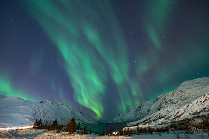 Private Northern Lights Chase with Photography from Tromsø - What You’ll Actually Do During the 6 to 9 Hours