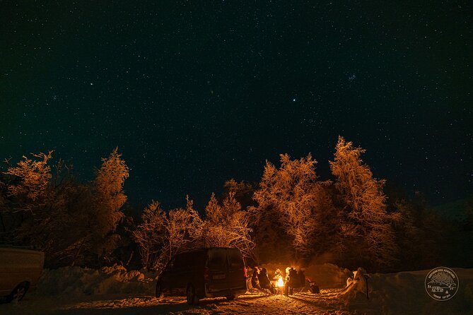 Private Northern Lights Chase with Photography from Tromsø - Price and Value: Why This Private Aurora Night Can Be Worth It