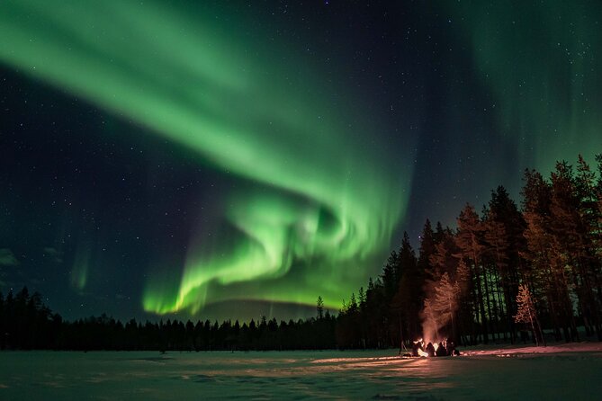 Private Northern Lights Photography Hunting - Your guide’s game plan: weather intel and a suggested start time