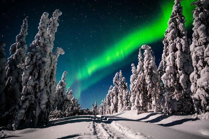 Private Northern Lights photography tour in Rovaniemi - Comfort in the cold: hot drinks, snacks, and headlamps that help you focus