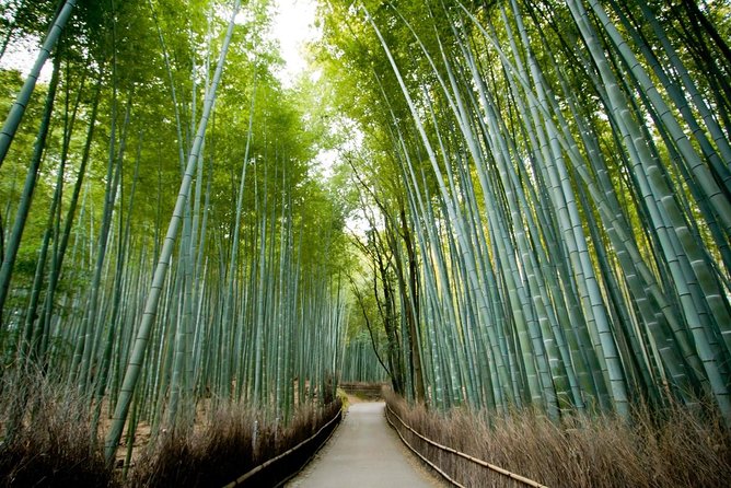Private photo shoot & walk in Kyoto - Professional photo shoot - Key Things to Know Before You Book