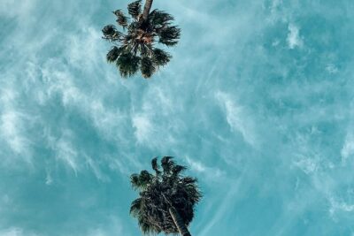 Private Photo Tour of the Best Instagram Spots in Los Angeles - Price and what $299 buys you in real terms