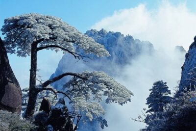 Private Photography Day Tour of Huangshan Yellow Mountain - Mt. Huangshan: Cable Car Up to White Goose Peak and the Classic Geopark Walk