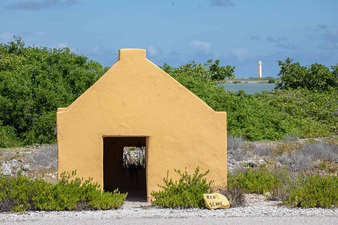 Private Photography Tour - Why a private photo tour beats wandering on your own in Bonaire