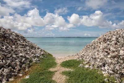 Private Photography Tour - Getting to the photo spots: pickup, timing, and pacing