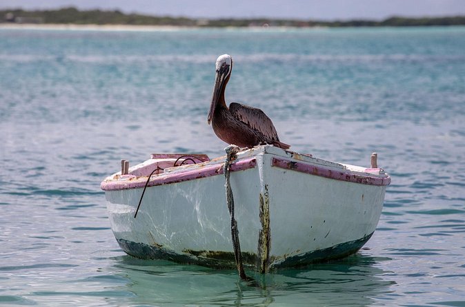 Private Photography Tour - Stop 2: Red Slave Huts, Salt Pier context, and photo framing