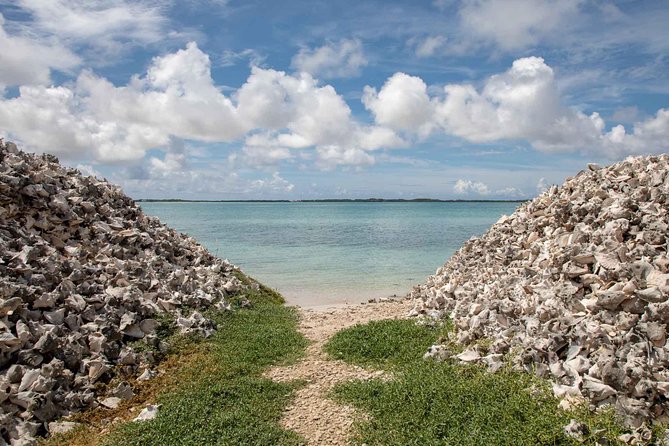 Private Photography Tour - Getting to the photo spots: pickup, timing, and pacing