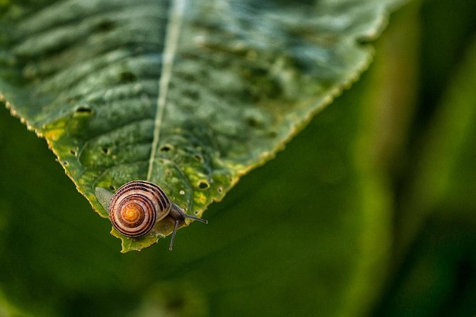 Private Photography workshop in Stockholm - Who should book this Stockholm photography masterclass
