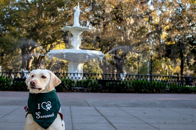 Private Photoshoot in Savannah, GA - Downtown squares and River Street: how the walk shapes your photos