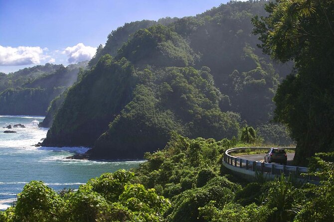 Private Road To Hana Tour with Professional Photos Included - Key things I’d plan around before you go