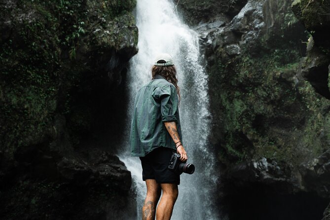 Private Road To Hana Tour with Professional Photos Included - The guide experience: why the personal touch gets praised