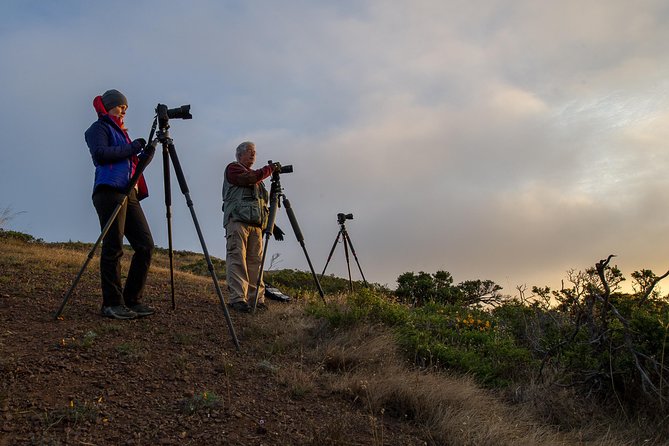 Private San Francisco Sunset Photography Experience - Golden Gate Bridge Stop: Framing the Bridge as Light Changes