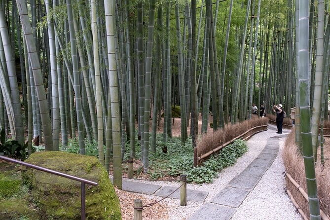 Private Tour in Kamakura: Matcha Tea Tasting & Photo Session - A fast, focused way to see Kamakura in 3 hours