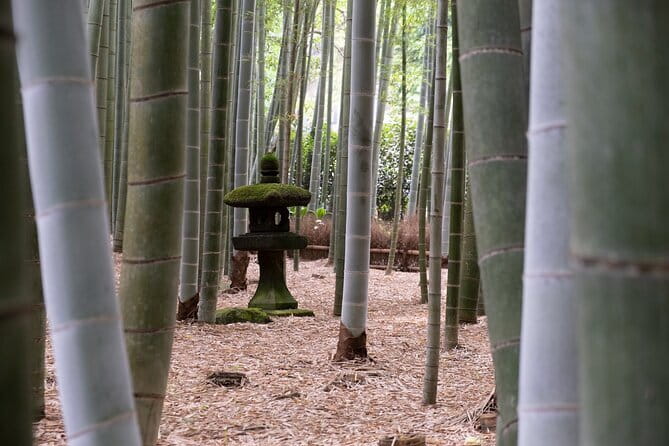 Private Tour in Kamakura: Matcha Tea Tasting & Photo Session - The photographer factor: Bruno and the difference between snapshots and memories
