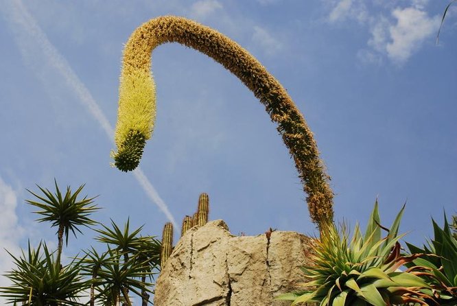 Private Tour: Personal Travel Photographer Tour in Monaco - Key things I’d plan around