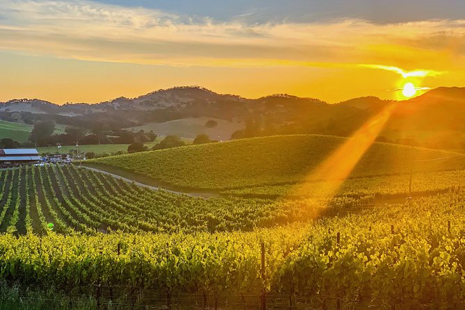 Private Wine Country Tour Including Photography Services - Key things to know before you go