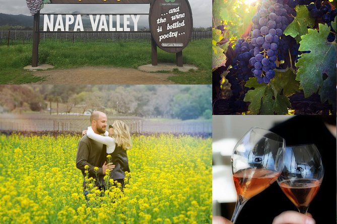 Private Wine Country Tour Including Photography Services - What the winery stops usually feel like