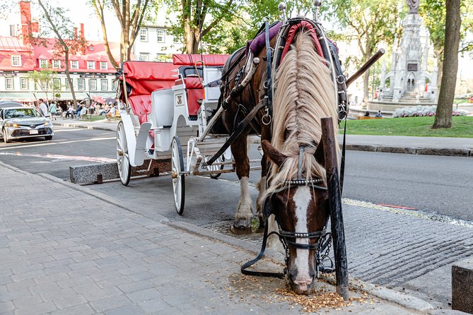Quebec City Photo Tour - Key highlights you’ll feel right away