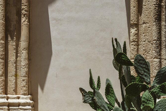 Ragusa Ibla Walking and Photography Tour - What your guide will coach you on (and how to use it)