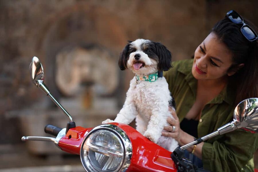 Rome: Guided Vespa Experience with Professional Photoshoot - Circus Maximus + Fontana dell’Acqua Paola: Bigger-Than-You-Expect