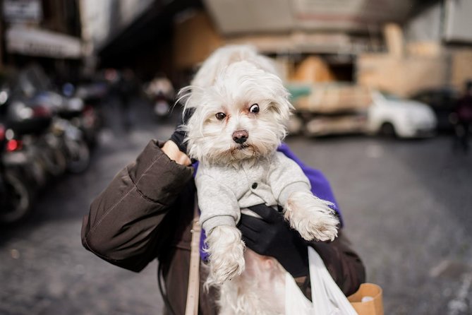 Rome Street Photography Lesson - Timing, walking rhythm, and making the most of 3 hours