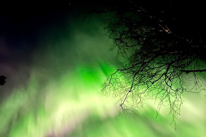 Rovaniemi: Aurora Hunting & Photography Tour - Rovaniemi at 7 pm: why this timing works for Aurora hunting