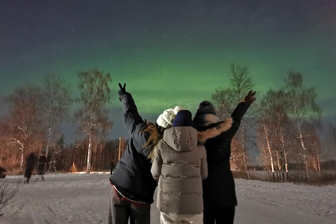 Rovaniemi: Aurora Hunting & Photography Tour - Comfort in the cold: warm clothing, warm van, and hot berry tea