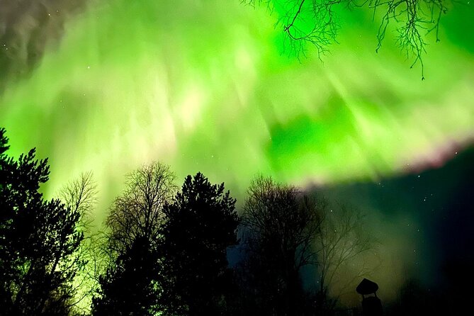 Rovaniemi: Aurora Hunting & Photography Tour - Guides who take the mission seriously (and keep it human)