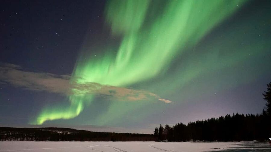 Rovaniemi: Aurora Hunting Photography Tour with Barbeque - Price and value: what $81 gets you in Lapland