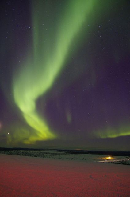 Rovaniemi: Aurora Hunting Tour with Photography by Van - Where You’ll Go: Best Vantage Points, Then Plan B