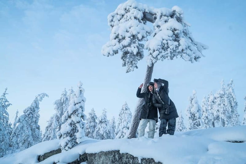 Rovaniemi City Photography Tour - The 2-hour “photo loop” that actually saves your energy