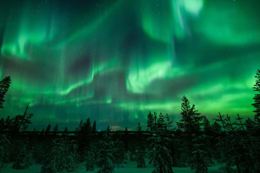 Rovaniemi: Discover the Northern Lights Photography Tour - Who this tour suits best (and who should rethink it)